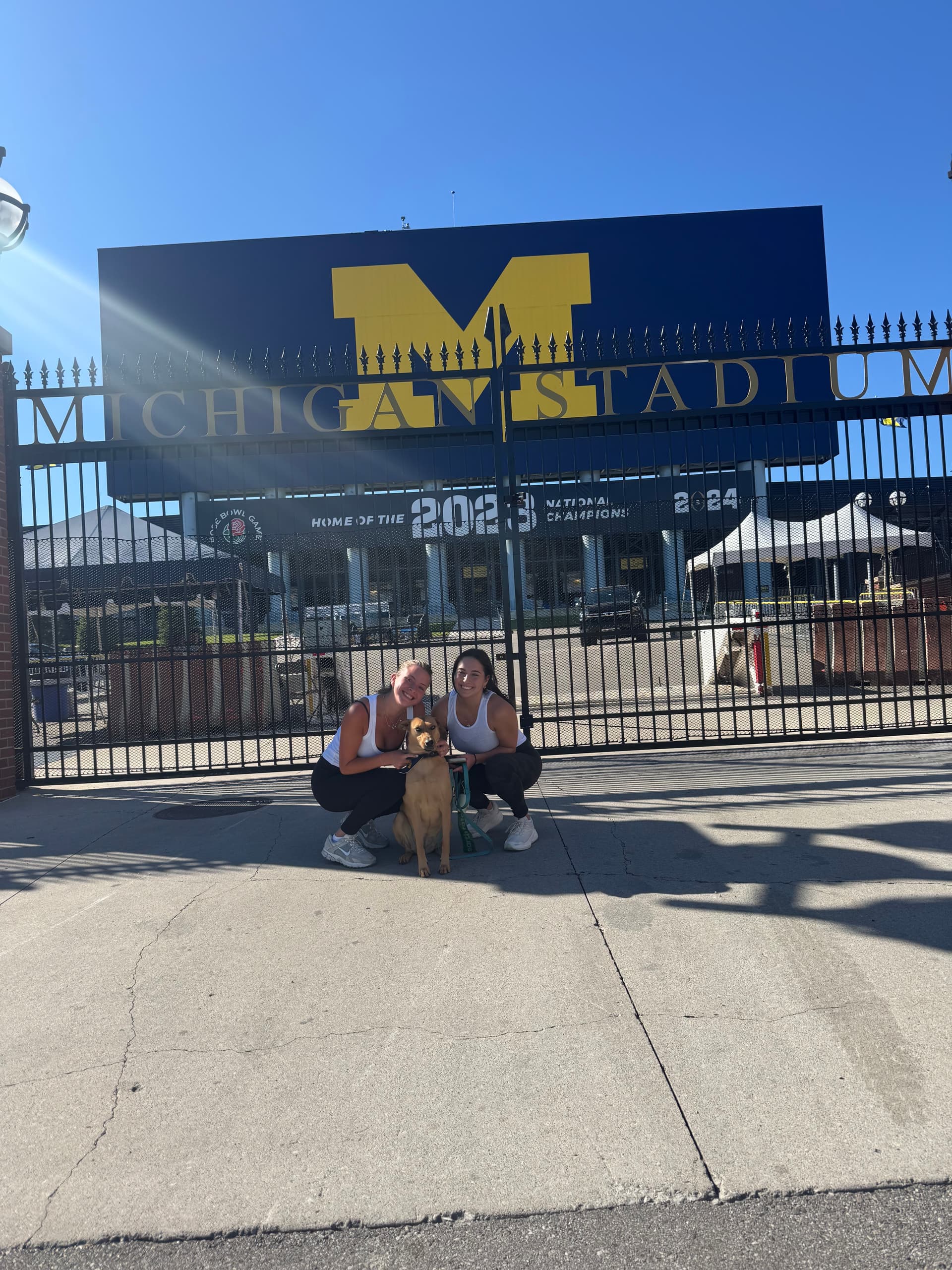 Running with Four-Legged Friends